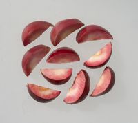 Aldenham Purple æble